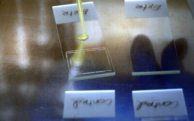 Hands-on training course – The deadline extended until April 15th, 2022!